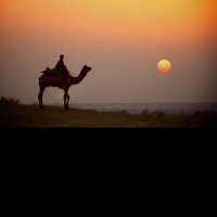 شـجاعً الـسعيدي (@shejaa55) 's Twitter Profile