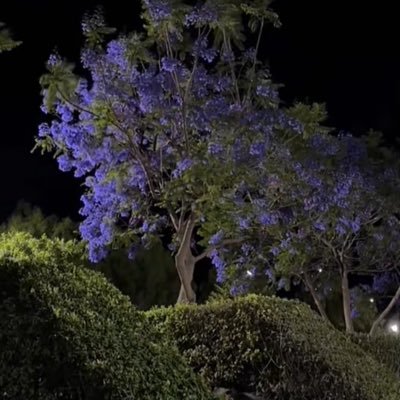 slma555111's profile picture. 📸