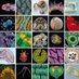 Microscopy Today (@microscopytoday) Twitter profile photo Microscopy Today (@microscopytoday) Twitter profile photo