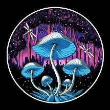 VascoPC7's profile picture. 