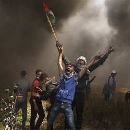 gazawest's profile picture. Socialist, anti-war, anti-imperialists,I'm Scottish but Palestinian by proxy #FreePalestine,#ManUtd #CelticFC .