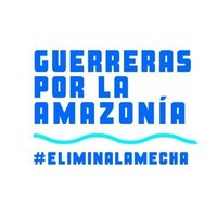 Guerreras por la Amazonia (@guerrerasxam) 's Twitter Profile