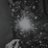 natalyzex's profile image