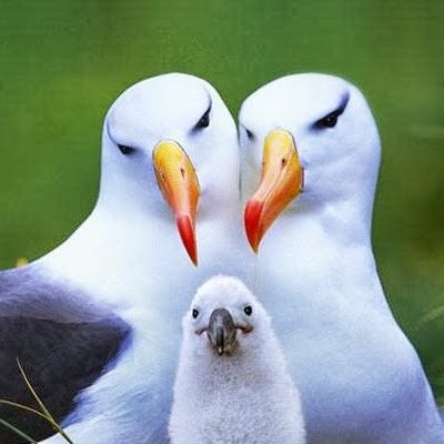 BrunoGosse12725's profile picture. 