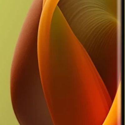 CheungHoky6423's profile picture. 