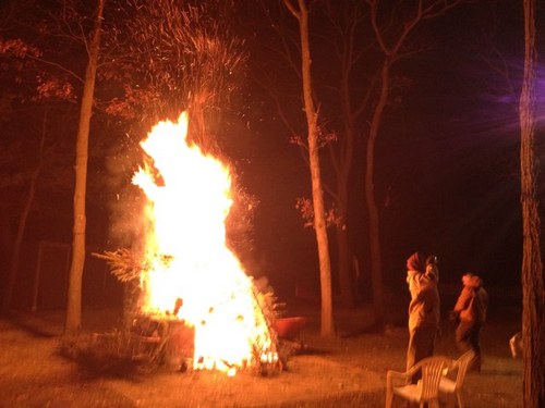 diggin2day's profile picture. 