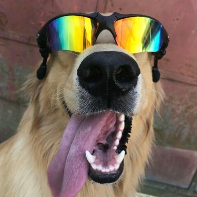 leva1v3's profile picture. jogador de fn e jogo por diverção 

2x finals cash cup solo 

TTV: https://t.co/ugjElXAaSl