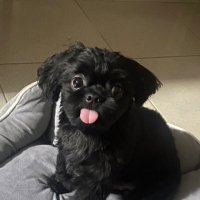 taft (@vncttn) 's Twitter Profile