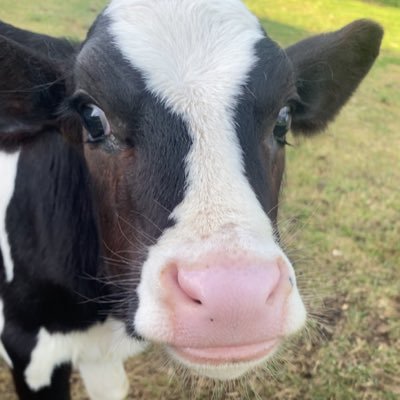 jckhgn's profile picture. 