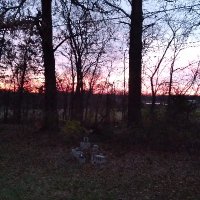 Kong_D (@jaxon0718587539) 's Twitter Profile