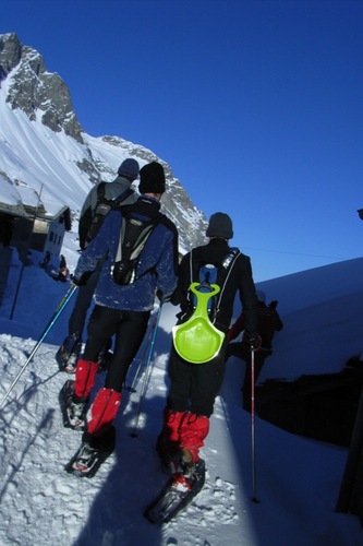 timmaeyens's profile picture. 