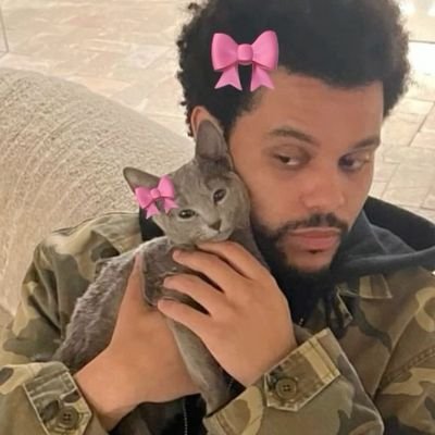 shawtxaurora's profile picture. 