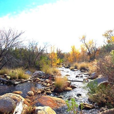 I am an Environmental Consultant.
https://t.co/UvxfBPlHqr