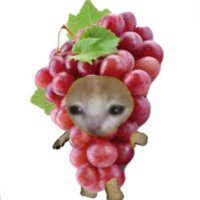 maggie (@cxqmaggie) 's Twitter Profile Photo maggie (@cxqmaggie) 's Twitter Profile Photo