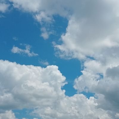 Thon43830's profile picture. 