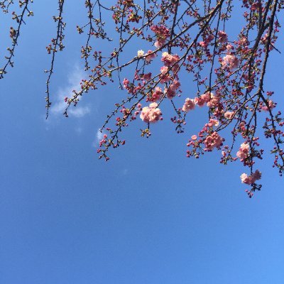 ❀hikariさんのプロフィール画像