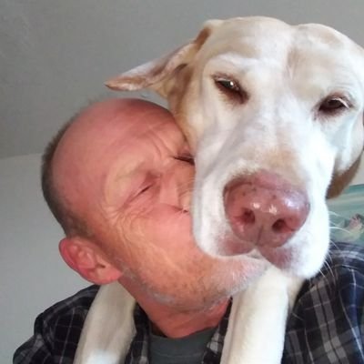 PlaysBassInOhio's profile picture. MAGA, Navy Veteran, Musician, love animals and my wife... Jesus is King. Pureblood, @BassPlayer58 on Truth Social.