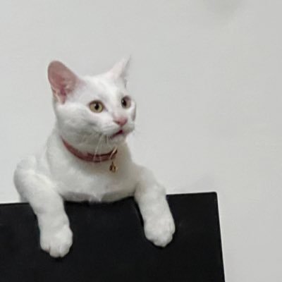 marumii09's profile picture. 👦👧👦のママ（末っ子は療育児）　　　　　　保護猫🐈まる                                               慢性疲労だと思ったら橋本病だった　　　　　　　7月22日、母が子宮頸癌st III 宣告を受けて治療を頑張ってます。サポート頑張るぞ