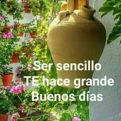 677cordoba's profile picture. 