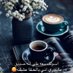 عبدالله (@bdllh259843) Twitter profile photo عبدالله (@bdllh259843) Twitter profile photo