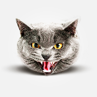 gizmio's profile picture. 