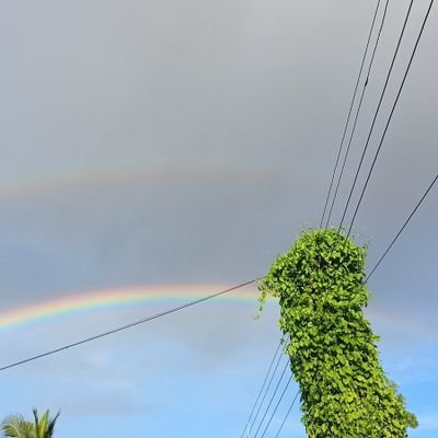 BarikSaktipada's profile picture. .