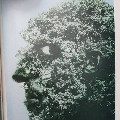 toastedpatriot's profile picture. Canada is a multicultural, gay version of the Soviet Union.