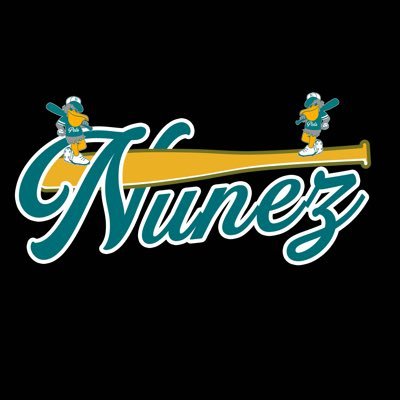 Nunez CC Baseball Profile