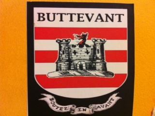 Buttevant Twinning Profile