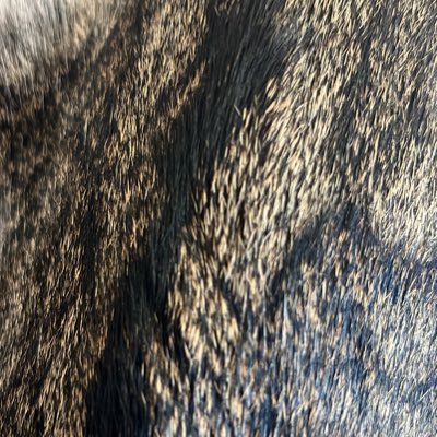kahoさんのプロフィール画像