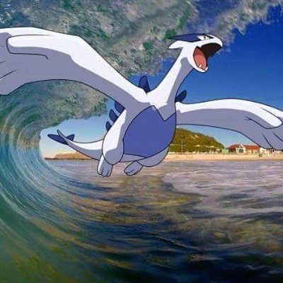 Donna845193473's profile picture. 