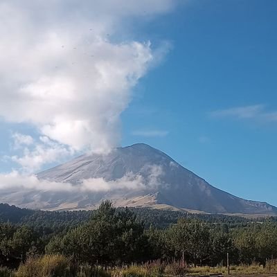 MResep's profile picture. 