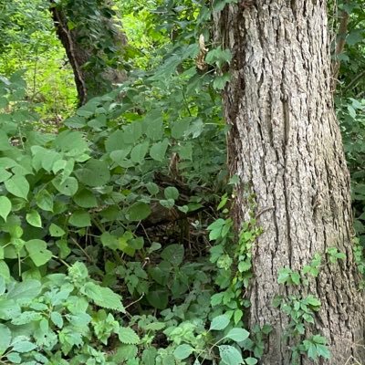 mak__elizabeth's profile picture. 