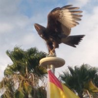 Diana G (@g2manyhobbies) 's Twitter Profile