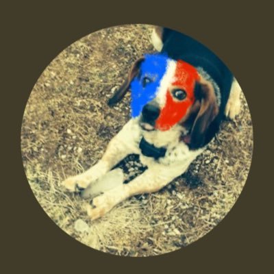 BeagleYoga's profile picture. Christian Conservative. “Marine Veteran & DOD Wife” Kentuckian by birth American by the Grace of God🇺🇸 #NeverForgetBenghazi #LittlelivesMatter Adoption