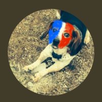 Warrior Beagle🇺🇸 (@beagleyoga) 's Twitter Profile Photo Warrior Beagle🇺🇸 (@beagleyoga) 's Twitter Profile Photo