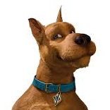 Scoobert Cornelius Doo
@naimemes