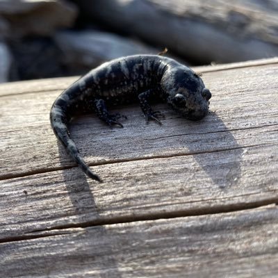 Cowboy78904509's profile picture. 