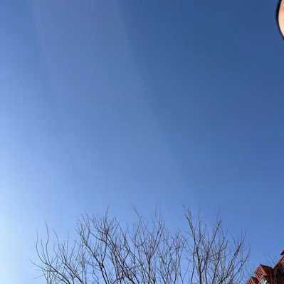 xiaojizi2's profile picture. 