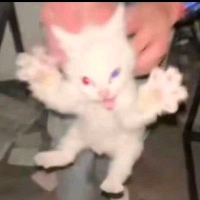 Bartynlml's profile picture. .I. 
puto el que lo lea