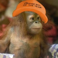 ๐ฉ๐๐ป๐๐ฃ๐ ๐๐ฃ๐๐๐๐ฆ๐ฅ๐๐ โ๐ฃ๐๐๐๐๐๐ฉ (@hottopicprince) 's Twitter Profile