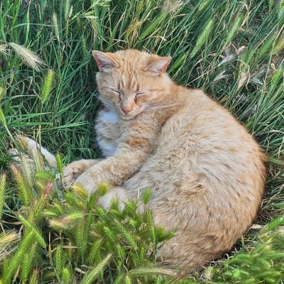 JasonJ1981's profile picture. in socal IE 

OF Coming soon