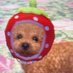 seripu 🥐 (@_seripu_) Twitter profile photo seripu 🥐 (@_seripu_) Twitter profile photo
