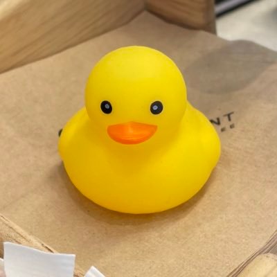FF14 카벙클 성인여성 | 슈퍼잡타쿠 | 🐈🍰🎮🎸 | 트친제외알람X , 할말은DM | 내란의힘 윤석렬을 해체하라