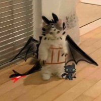 gabi (@qoogit) 's Twitter Profile