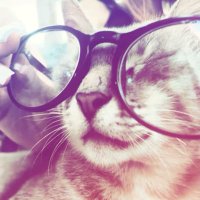THD Aurora (@aurorafntv) 's Twitter Profile
