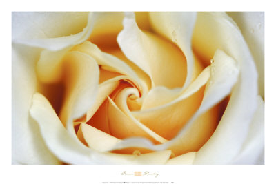 freetodream17's profile picture. living in the U.S. and loving any adventure that comes my way!
Directioner for life