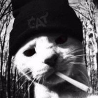 ✧ (@willclapyogirl) 's Twitter Profile Photo