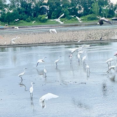 dwng_p84985's profile picture. 