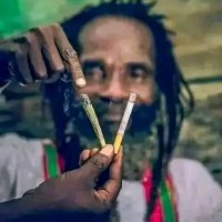 Mmust high🍁 (@felzel_) 's Twitter Profile